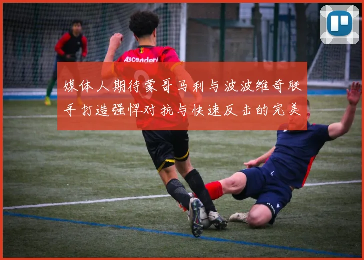 媒体人期待蒙哥马利与波波维奇联手打造强悍对抗与快速反击的完美结合